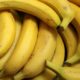 Going Bananas at Our Daily Bread